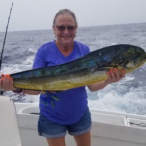 Meet your Posher, Joann